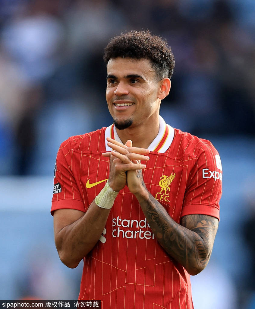 量化的信号 量化的信号